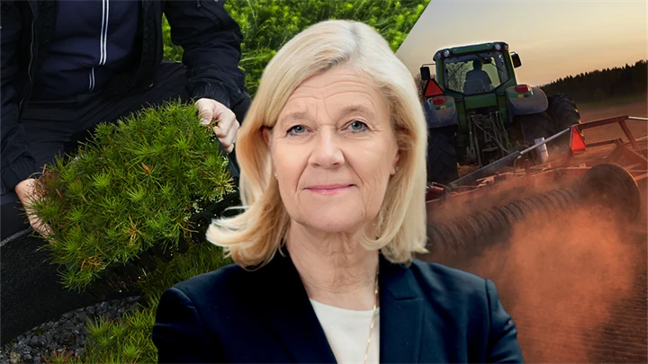 Lena-Liisa Tengblad, vd Gröna arbetsgivare.